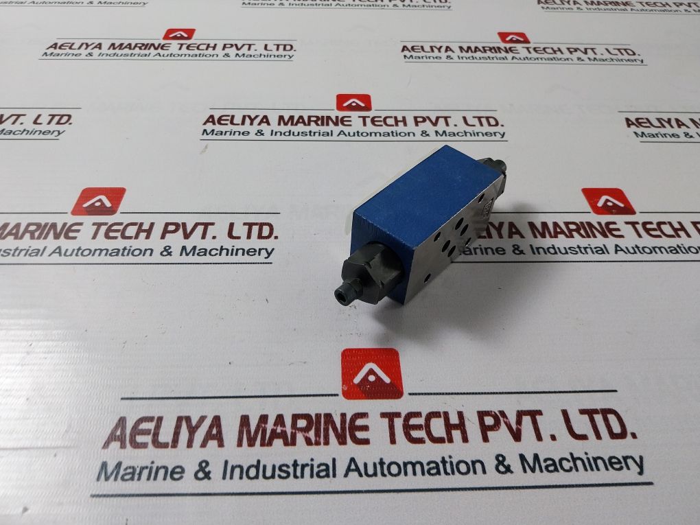 Rexroth R900481624 Hydraulic Check Valve