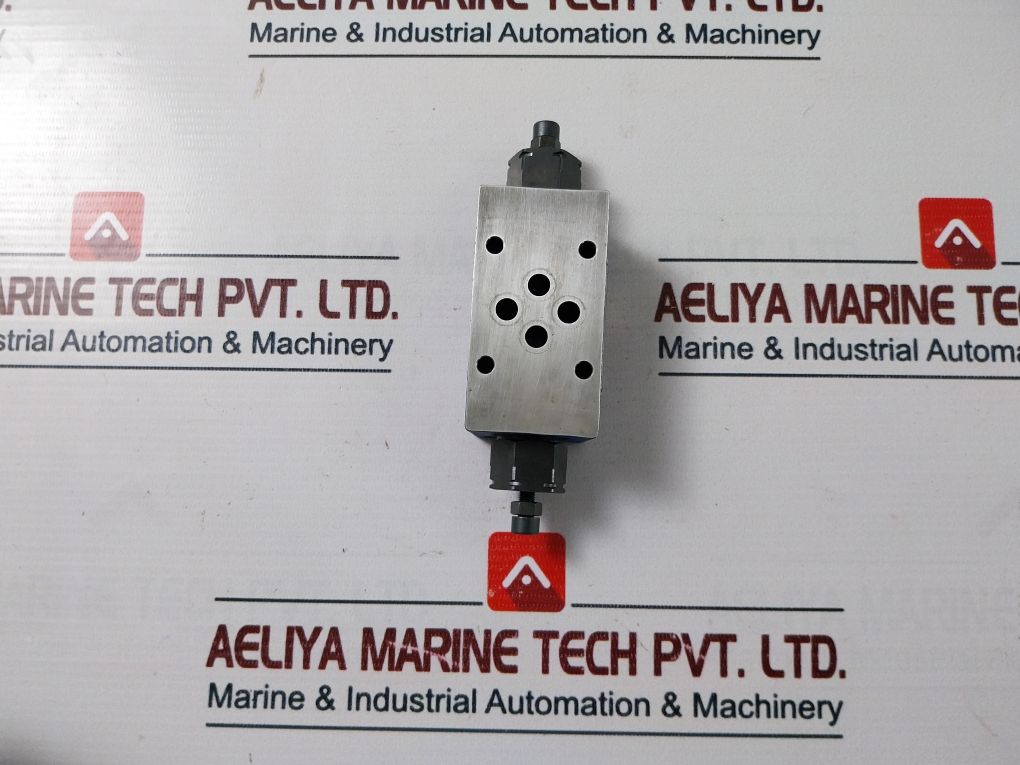 Rexroth R900481624 Hydraulic Check Valve