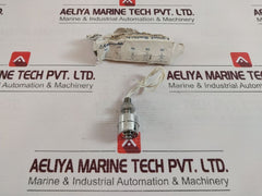 Rfs-2 Level Switch
