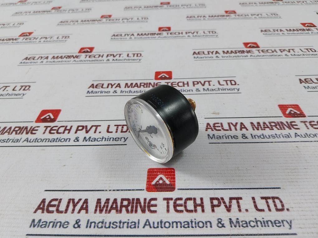 Riegler Kl.1.6 Manometer Pressure Gauge 0-16 Bar