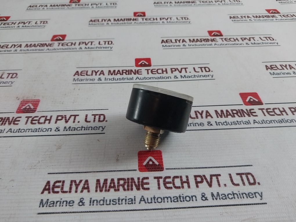 Riegler Kl 1.6 Manometer Pressure Gauge 0-40 Bar