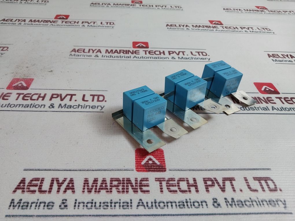 Rifa Phe 448 Capacitor