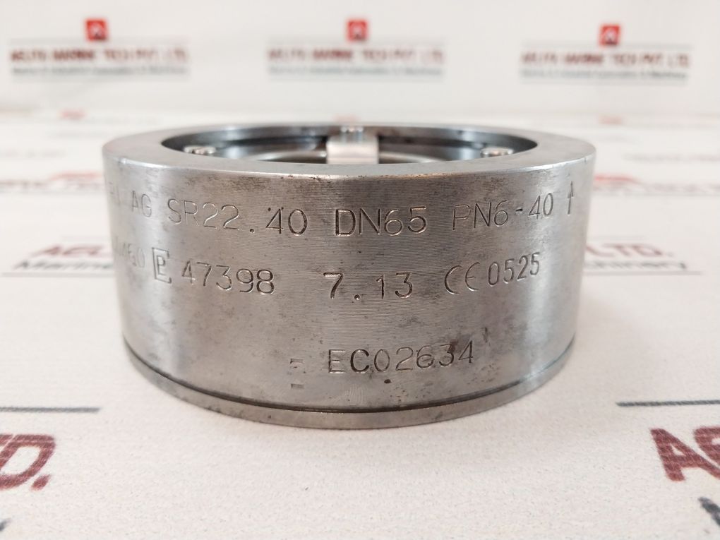 Ritag Ec02634 Check Valve Dn65
