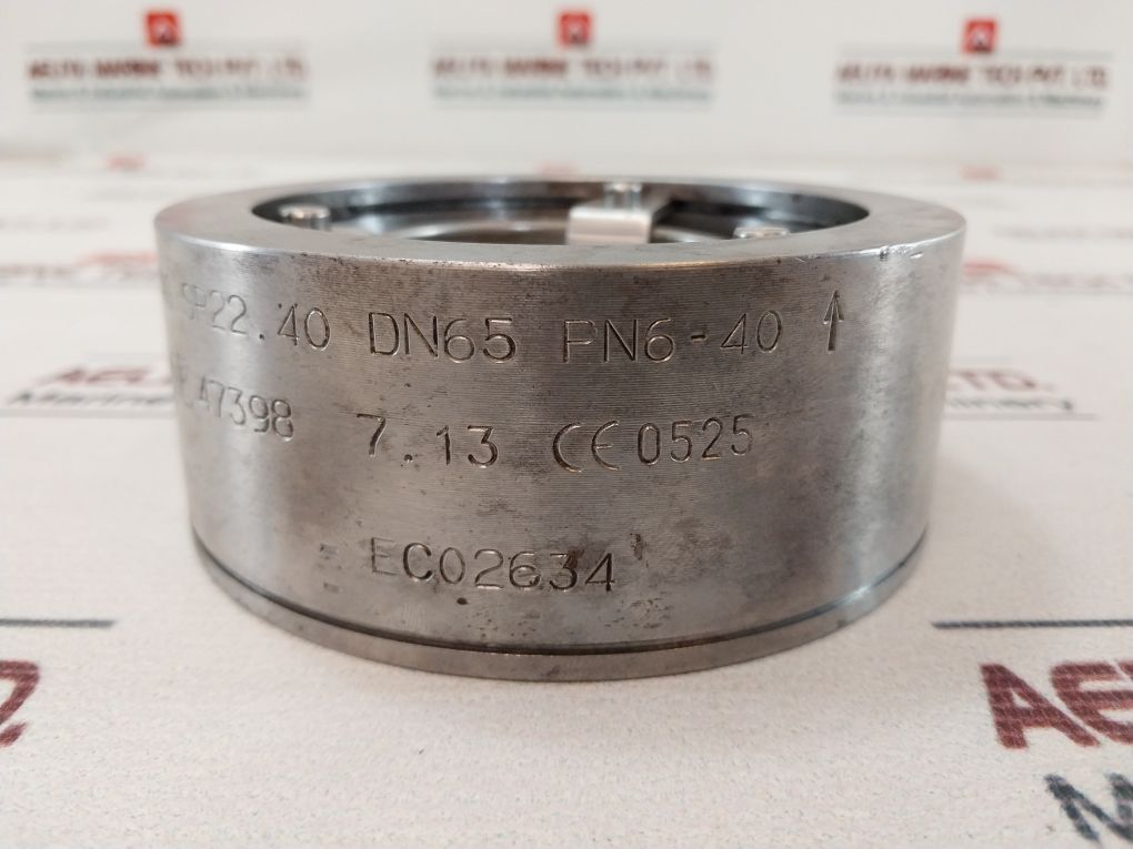 Ritag Ec02634 Check Valve Dn65