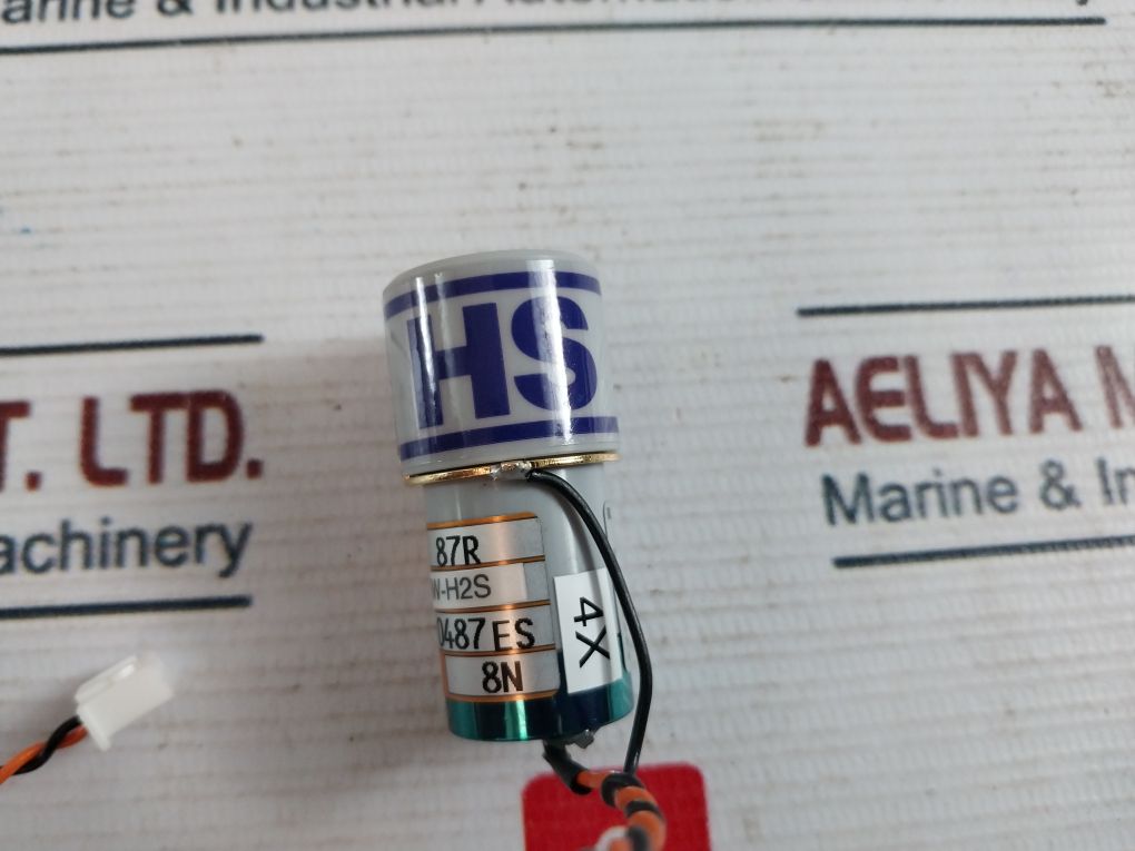 Rki Es-87Rw-h2S Hydrogen Sulfide Sensor