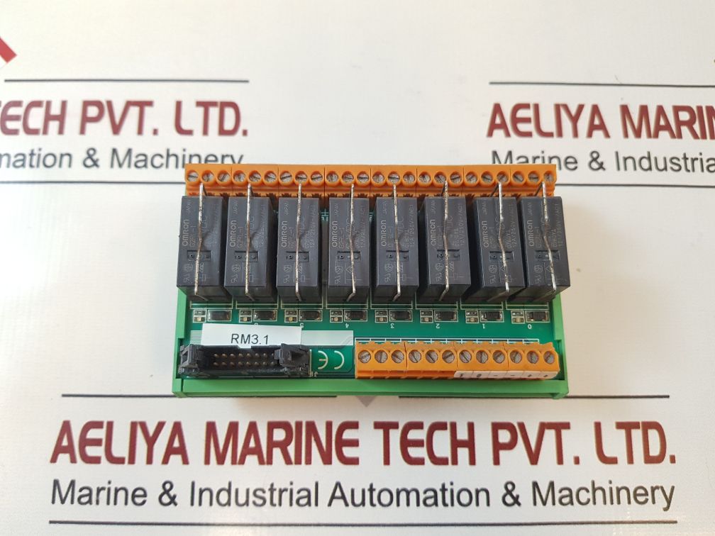 Rm3.1 Module E1987 - Emf16Bor