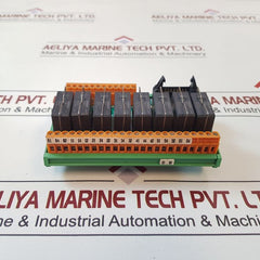 Rm3.1 Module E1987 - Emf16Bor