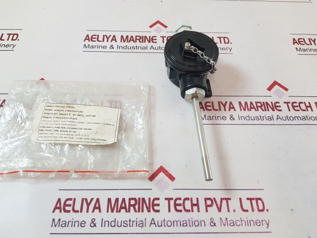 Rm 1X100 Temperature Sensor
