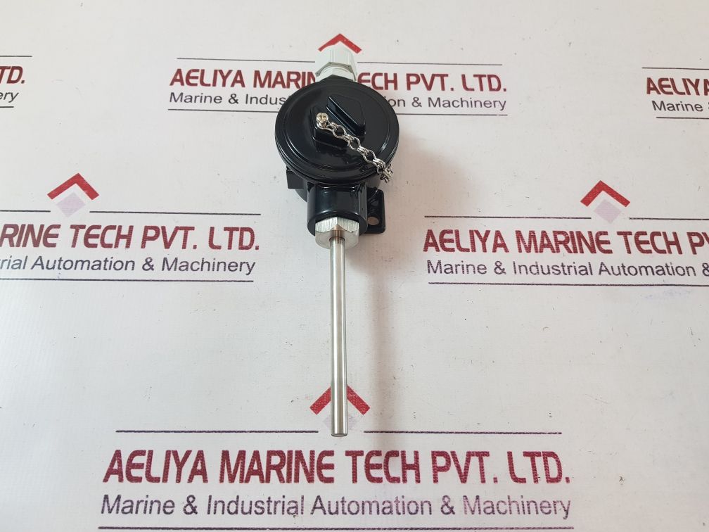 Rm 1X100 Temperature Sensor
