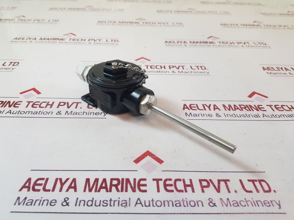 Rm 1X100 Temperature Sensor
