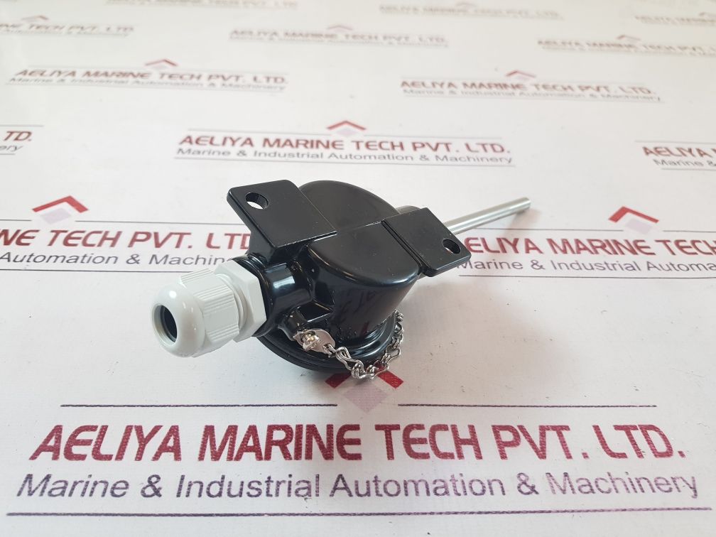 Rm 1X100 Temperature Sensor
