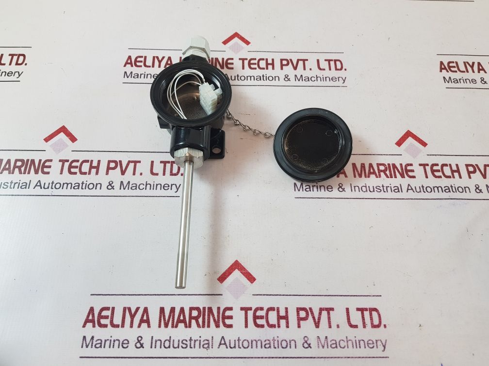 Rm 1X100 Temperature Sensor
