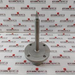 Rosemount 2120 Vibrating Fork Level Switch