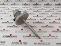 Rosemount 2120 Vibrating Fork Level Switch