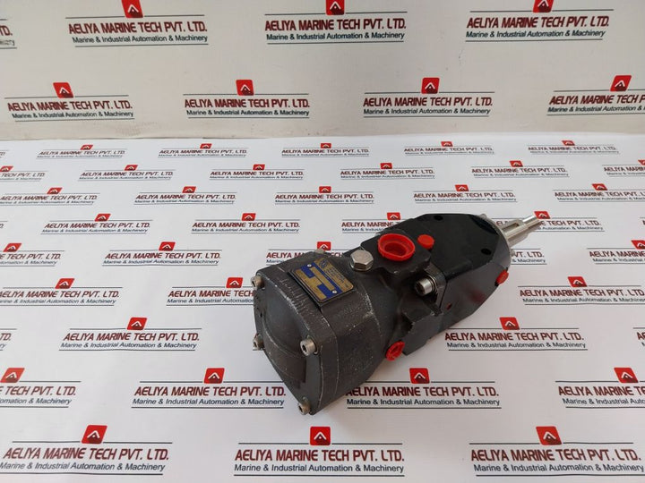 Rotary Power P20N4N6N00 Motor