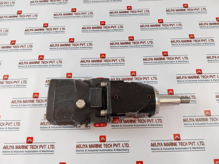 Rotary Power P20N4N6N00 Motor