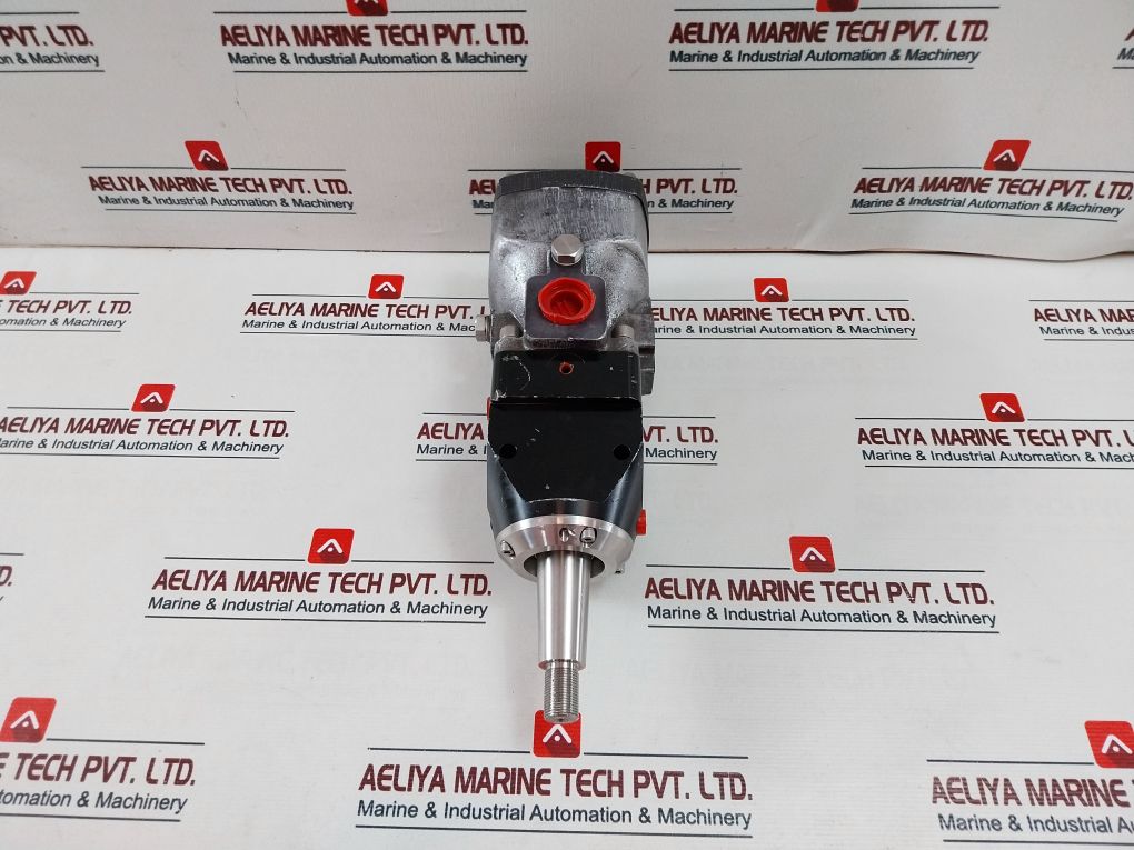 Rotary Power P20P4N6N00 Motor