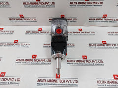 Rotary Power P20P4N6N00 Motor