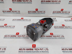 Rotary Power P20P4N6N00 Motor