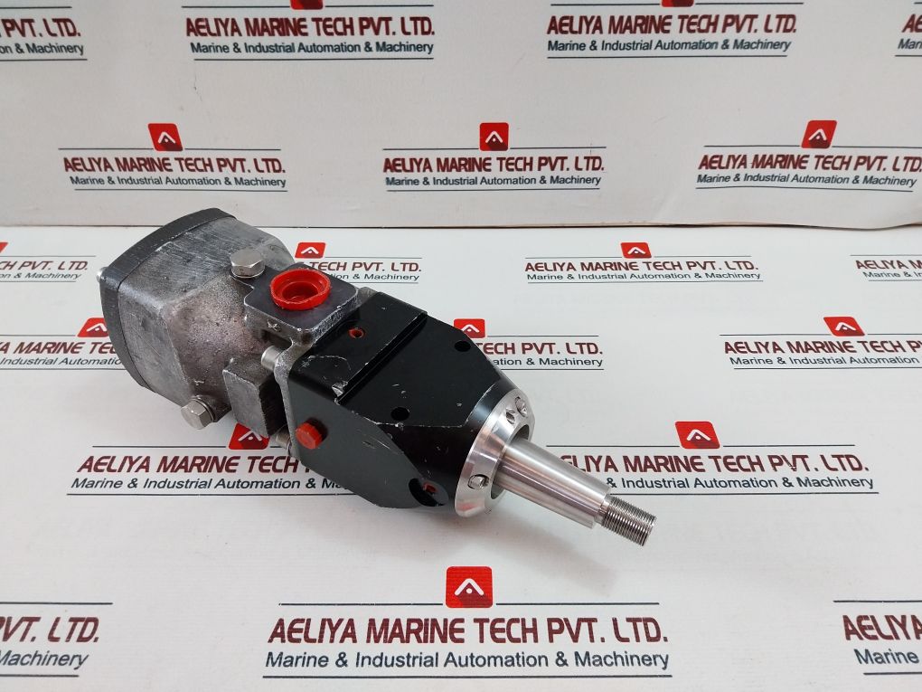 Rotary Power P20P4N6N00 Motor