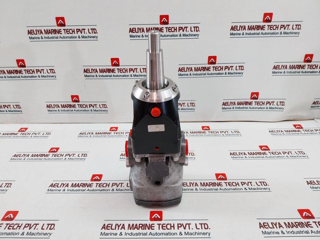 Rotary Power P20P4N6N00 Motor