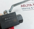 Rotelmann St/Pom/N 2 Way Hand Ball Valve