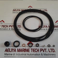 Rr “2036” Seal Kit 6619899

