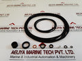 Rr “2036” Seal Kit 6619899
