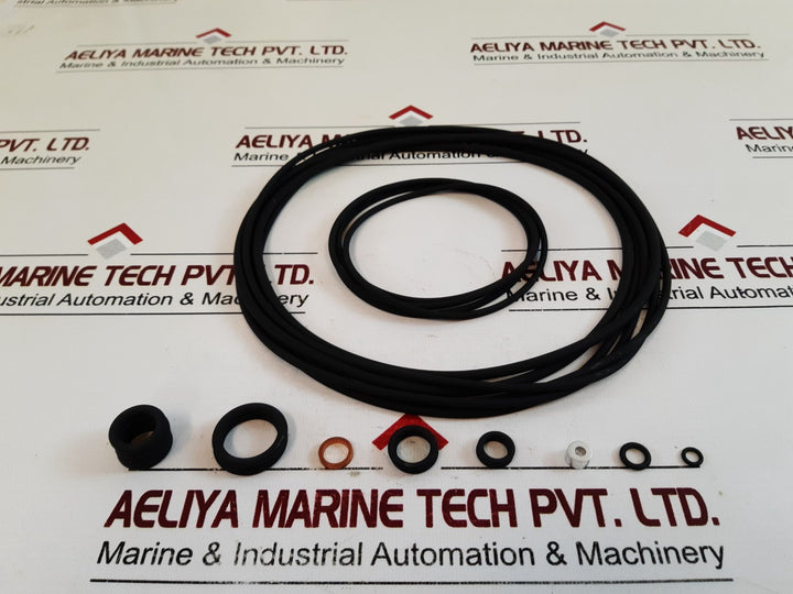 Rr “2036” Seal Kit 6619899
