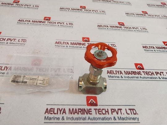 Rubinetterie Dn-1/2 Straight Steel Union End Valve (Needle) 