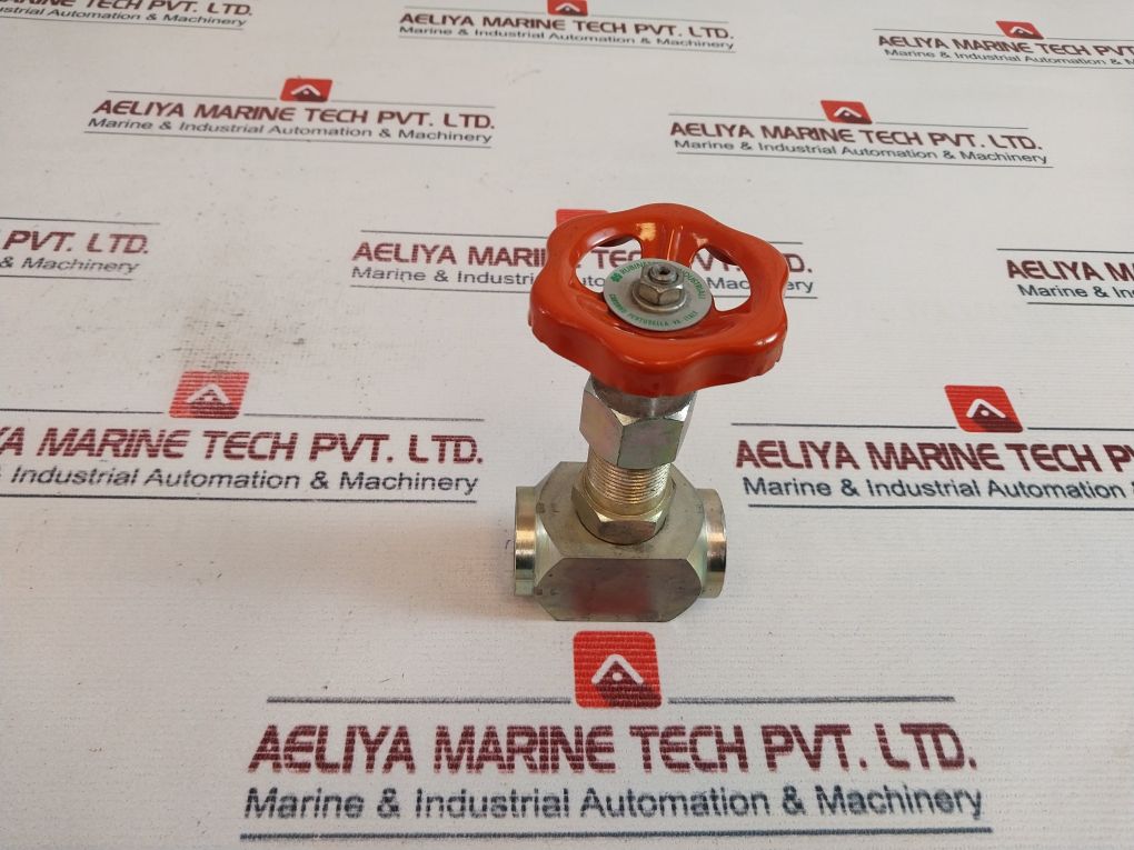 Rubinetterie Dn-1/2 Straight Steel Union End Valve (Needle) 