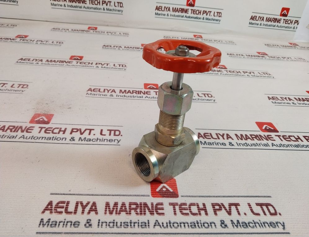 Rubinetterie Dn-1/2 Straight Steel Union End Valve (Needle) 