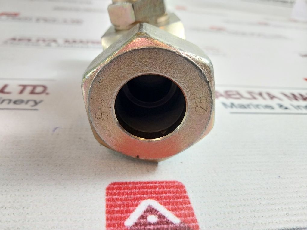 Rubinetterie Industriali S 3000 Straight Steel Union End Valve (Needle)