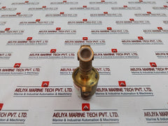 Rwo 593 8002 501 Piston Valve Pa-ix Pn16