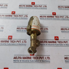 Rwo Pn16 Pa-ix Pneumatic Brass Angle Seat Piston Valve G1/2” Sk50-ms
