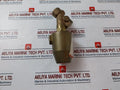 Rwo Pn16 Pa-ix Pneumatic Brass Angle Seat Piston Valve G1/2” Sk50-ms