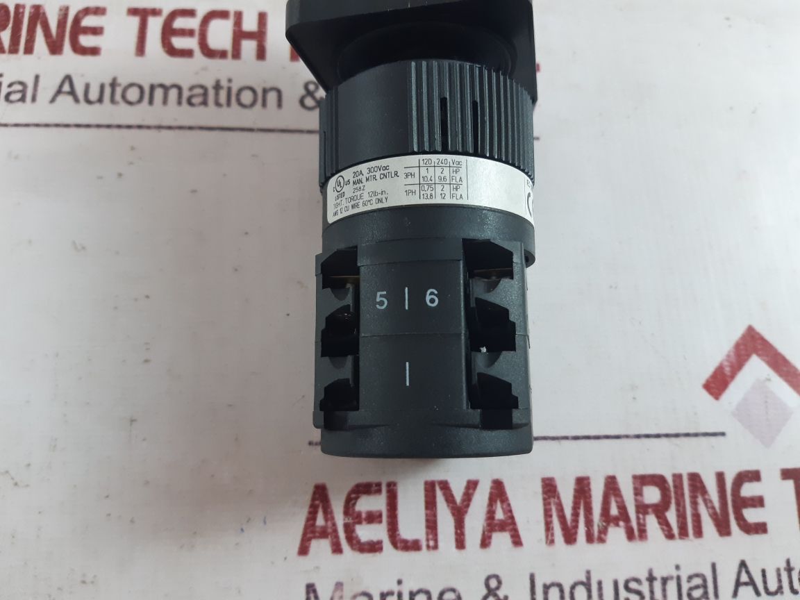 Salzer P220 Rotary/Cam Switch P220-640441
