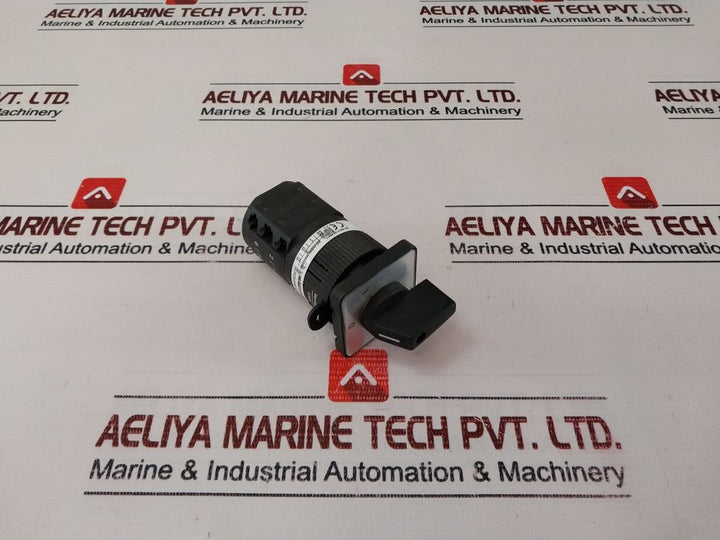 Salzer P220-61003-a01 Rotary Cam Switch 20A 300Vac