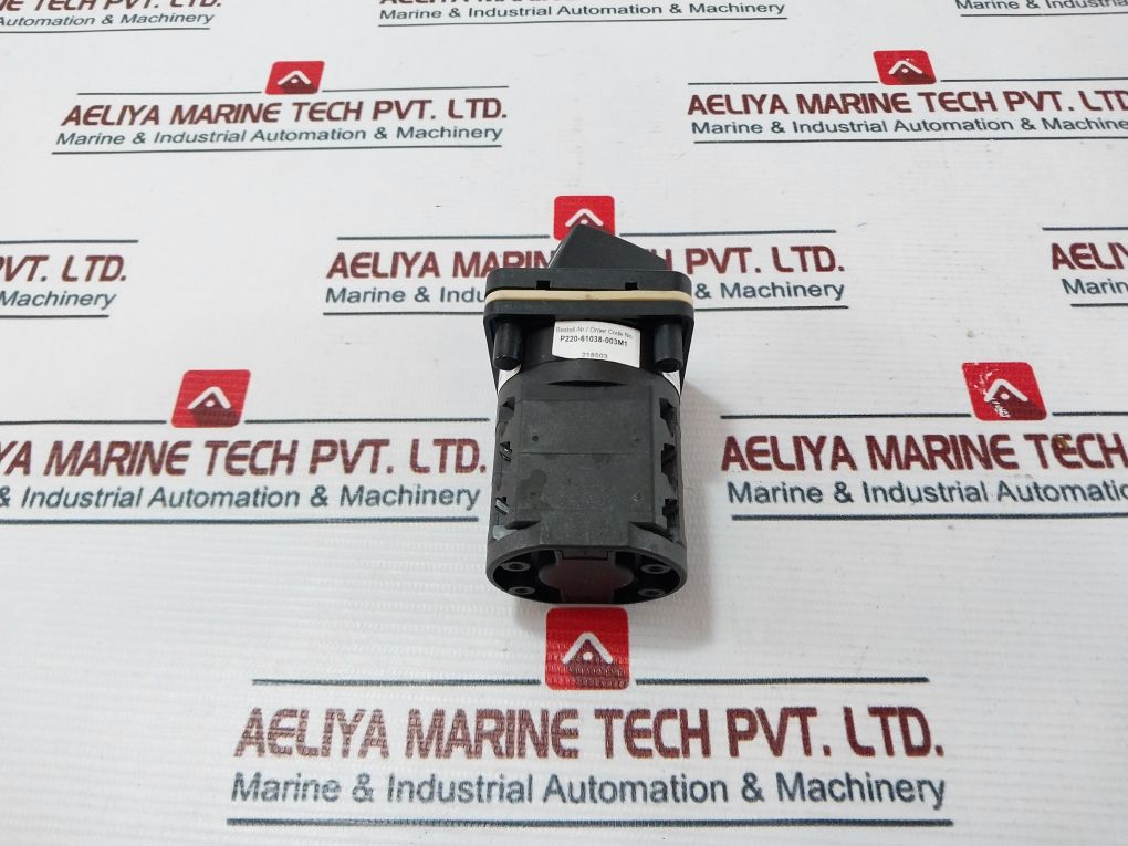 Salzer P220-61038-a01 Rotary Cam Switch 20A 300Vac