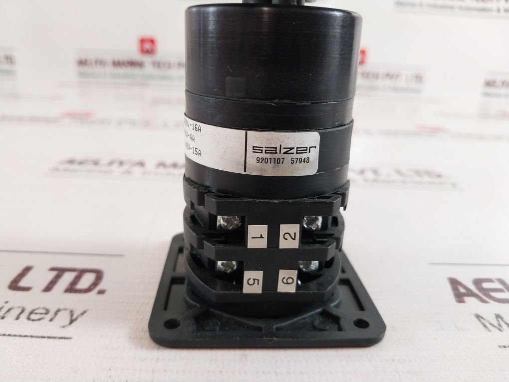 Salzer S16-61197-b42 Cam Switch