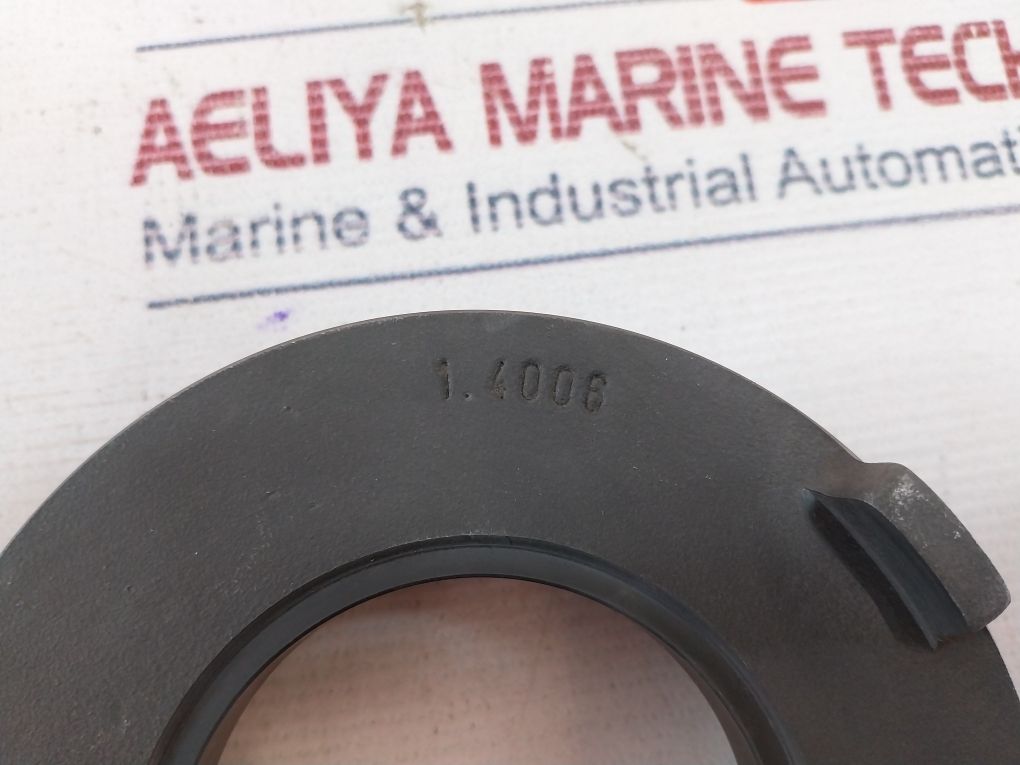 Samson Gsa0041 Oil Seal 90-300 O/C