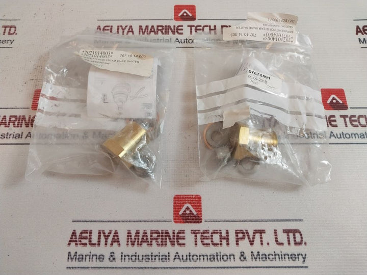 Sauter Vug025F304 Service Kit For Steam Valve