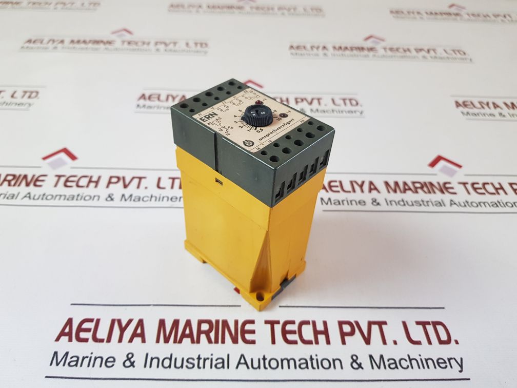 Schiele Ern Time Relay