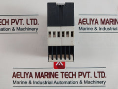 Schiele Srn