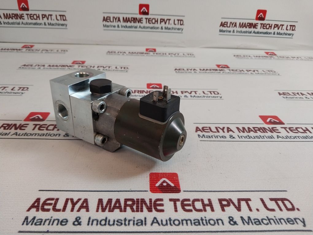 Schienle 4900 017/4 Solenoid Valve 24V Dc