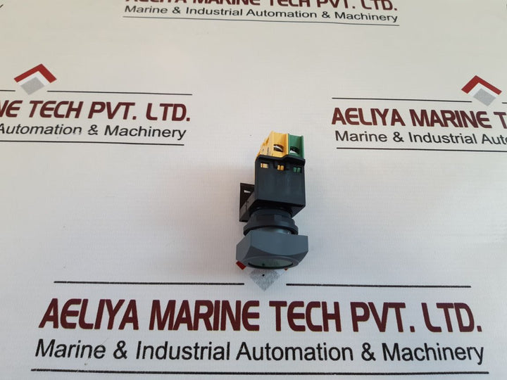 Schlegel MlMti Auxiliary Contact Green Push Button
