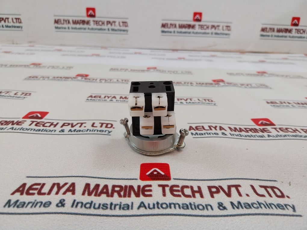 Schmersal Ena Iec60947-5-1 Heavy Pilot Duty