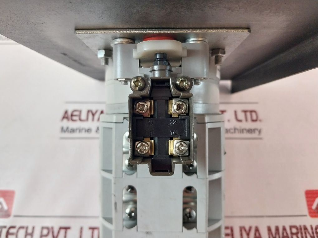 Schmersal Ts 232-11 Micro Limit Switch