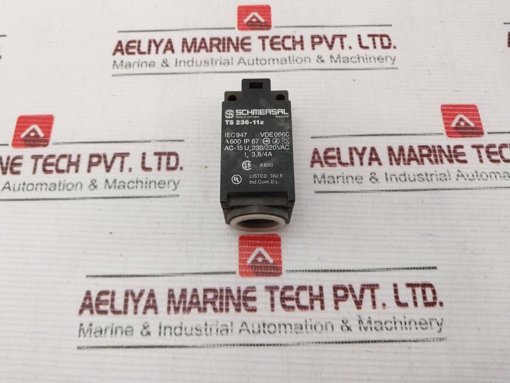 Schmersal Ts 236-11Z Limit Switch 230/220Vac
