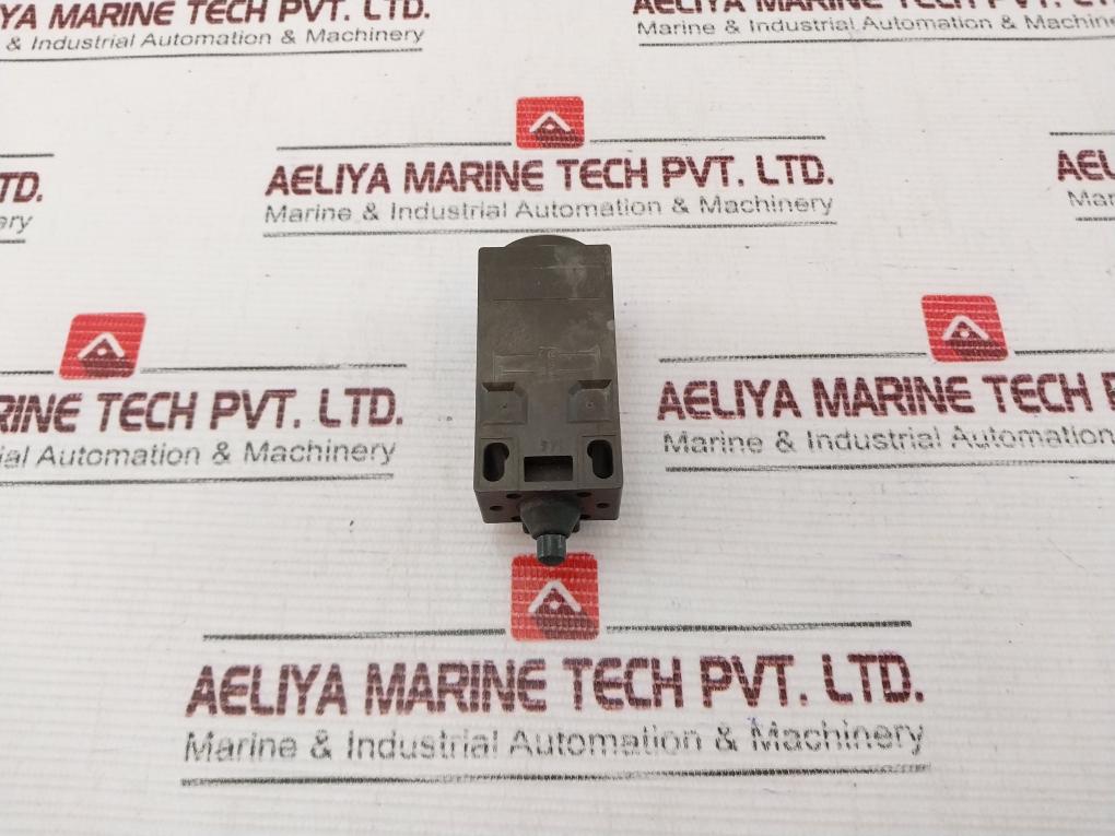 Schmersal Ts 236-11Z Limit Switch 230/220Vac